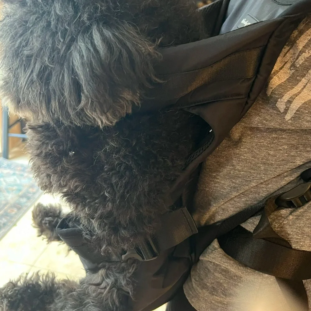 Pet carrier for medium size dogs by WindyTails